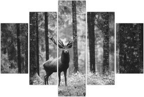 Tablou - Căprioare in pădure 2,alb-negru (150x105 cm)