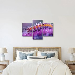 Tablou - Caterpillar (90x60 cm)