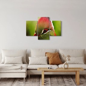 Tablou cu pasărea colorată (90x60 cm)