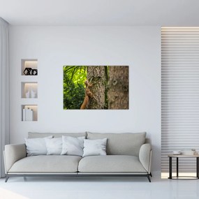 Tablou - Veverița (90x60 cm)