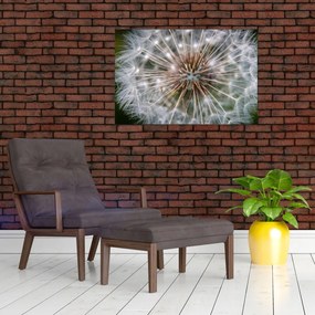 Tablou cu păpădie (90x60 cm)