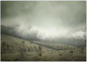 Tablou - Peisaj înainte de furtună (70x50 cm)