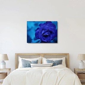 Tablou cu trandafir albastru (70x50 cm)