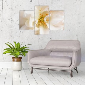 Tablou - Floare (90x60 cm)