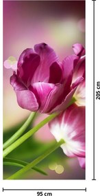 Fototapet pentru ușă - Lalele roz (95x205cm)