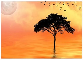 Tablou cu copac în apus de soare (70x50 cm)