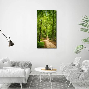 Fotografie imprimată pe sticlă Calea în pădure