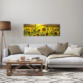 Tablou - Floarea-soarelui la apus de soare (cu ceas) (90x30 cm)