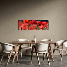 Tablou - flori de maci (cu ceas) (90x30 cm)