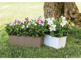 Jardiniera, Tortora, Vetro-Plus, 30x13x11 cm, plastic, maro