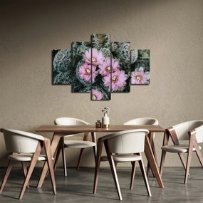 Tablou floare de cactus (150x105 cm)