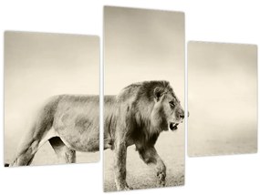 Tablou - Leul flămând (90x60 cm)