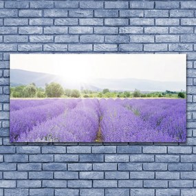 Tablou pe panza canvas Flori Meadow Natura Purple