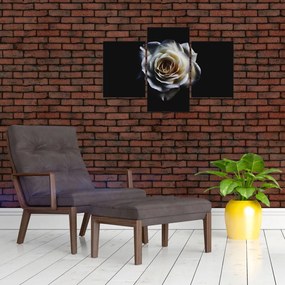 Tablou cu trandafir alb (90x60 cm)