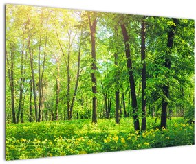 Tablou - Pădurea cu frunze de primăvară (90x60 cm)