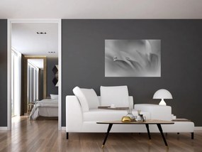 Tablou - Picătură pe floare,alb-negru (90x60 cm)