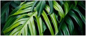 Tablou - Frunze tropicale (120x50 cm)