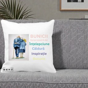Cadou pentru Bunici - Perna Personalizata Bunicii Sursa Intelepciune Caldura Acuarela, 40x40 cm, Alba Mata, Husa Detasabila, Perna Inclusa, BEKZ®