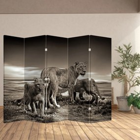Paravan - Leii alb negri (210x170 cm)