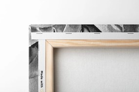 Tablou bujori în design alb-negru
