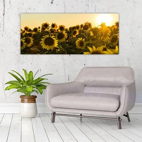 Tablou cu lan de floarea soarelui (120x50 cm), în 40 de alte dimensiuni noi