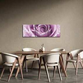 Tablou detaliu de floare de trandafir (cu ceas) (90x30 cm)
