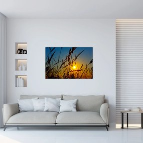 Tablou - Apus de soare pe pajiște (90x60 cm)