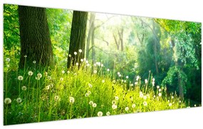 Tablou - Pajiște magică plină de păpădii (120x50 cm)