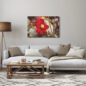 Tablou cu floare (90x60 cm)