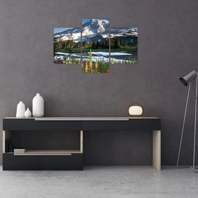 Tablou - Muntele Rainier (90x60 cm)