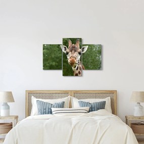 Tablou cu girafa (90x60 cm)