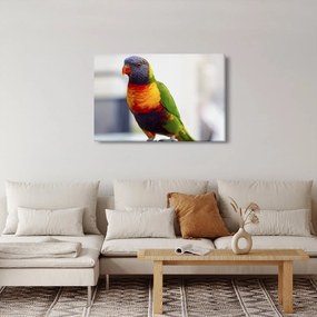Tablou cu papagal (90x60 cm)
