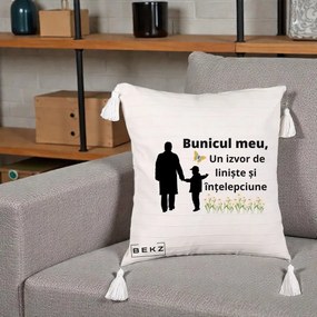 Cadou pentru Bunic - Perna Personalizata Bunicul Meu Izvor de Liniste cu Fluture si Baietel, 40x40 cm, Bej cu Franjuri, Husa Detasabila, Perna Inclusa, BEKZ®