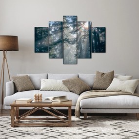 Tablou cu copaci și soarele translucind (150x105 cm)