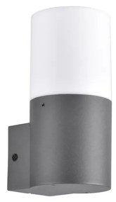 Aplica de perete exterior DALLAS 1xE27/12W/230V IP44 antracit