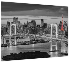 Tablou - Oraș mare cu un turn roșu (70x50 cm)