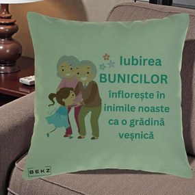 Cadou pentru Bunici - Perna Personalizata Bunicii Iubirea Infloreste cu Nepoata Teal, 40x40 cm, Verde, Husa Detasabila, Perna Inclusa, BEKZ®