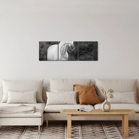 Tablou - Cal alb în poină (cu ceas) (90x30 cm)