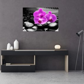 Tablou - Orhidee violet (90x60 cm)