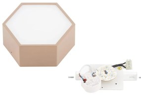 Plafoniera, Spot aplicat LED LIBERO piersica
