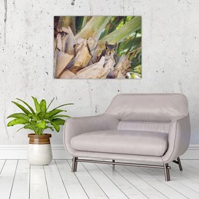 Tablou pe sticlă cu veverița în copaci (70x50 cm)