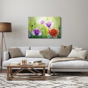 Tablou - Maci (90x60 cm)
