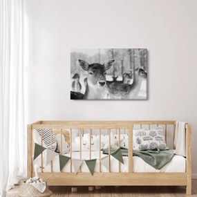 Tablou - Cerbi,alb-negru (90x60 cm)