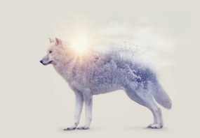 Fototapet - Lupul arctic oglindind peisajul sălbatic (147x102 cm)