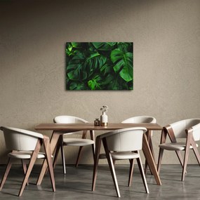 Tablou cu frunze Monstery (70x50 cm)