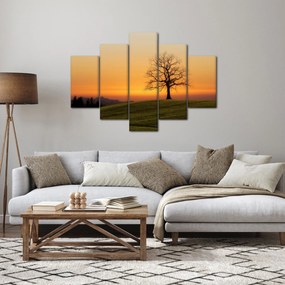 Tablou cu apus de soare pe o luncă (150x105 cm)
