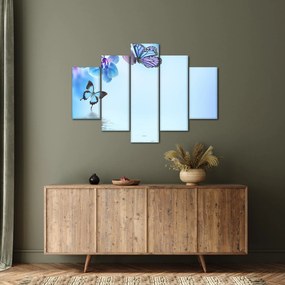 Tablou - Fluture pe flori de orhidee, albastru (150x105 cm)