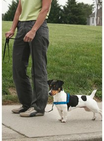 PetSafe Harness EasyWalk Deluxe albastru mărimeaM/L