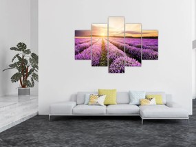 Tablou - Răsărit de soare în câmp de lavandă (150x105 cm)