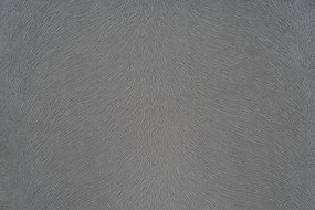 Scaun Barock material gri alb
